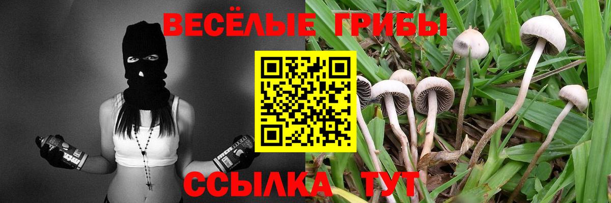 Галлюциногенные грибы мицелий  Вход с VPN  что такое   Соль-Илецк 