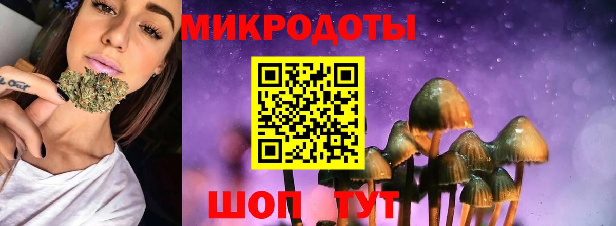 Псилоцибиновые грибы Psilocybine cubensis Соль-Илецк